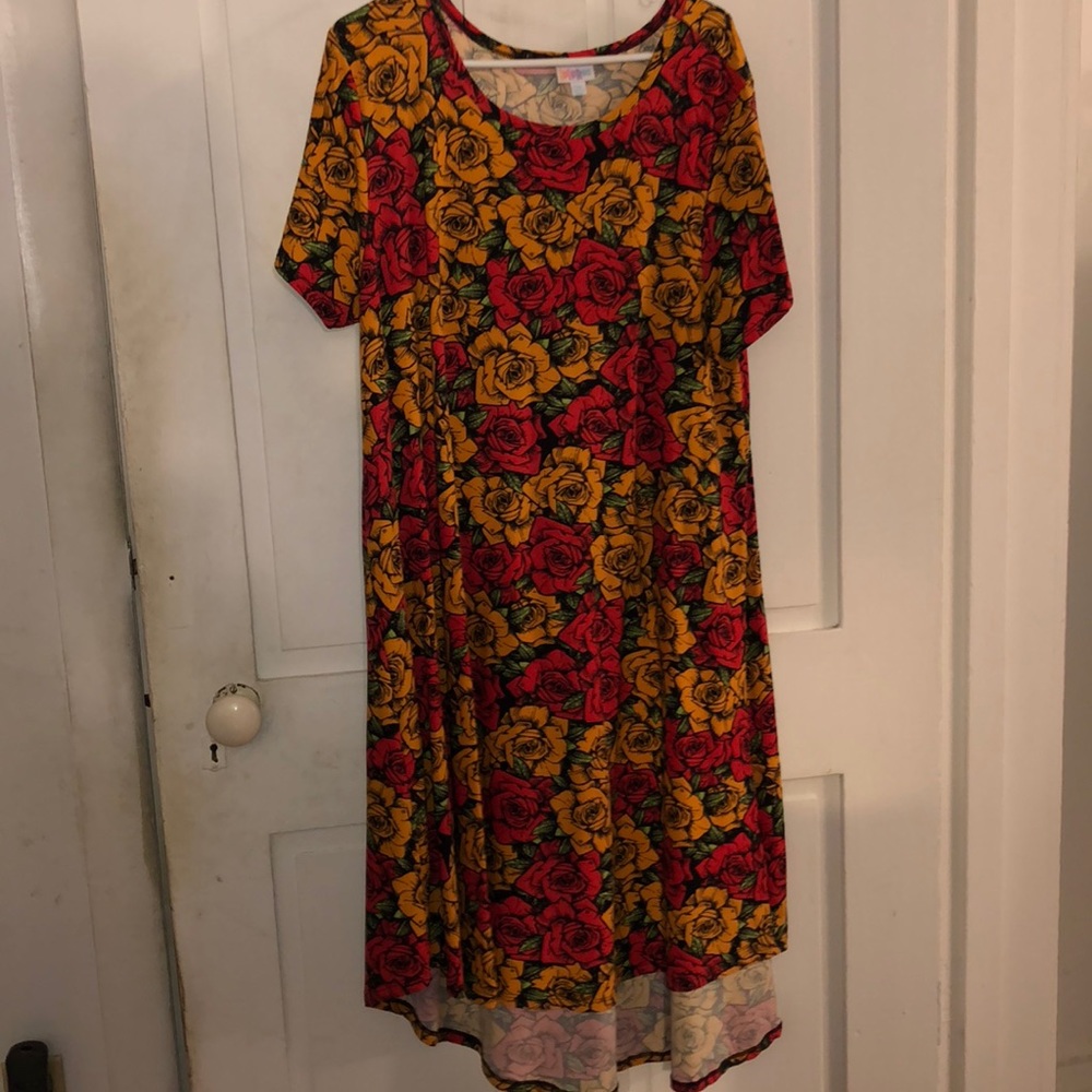 Lularoe 2XL Carly